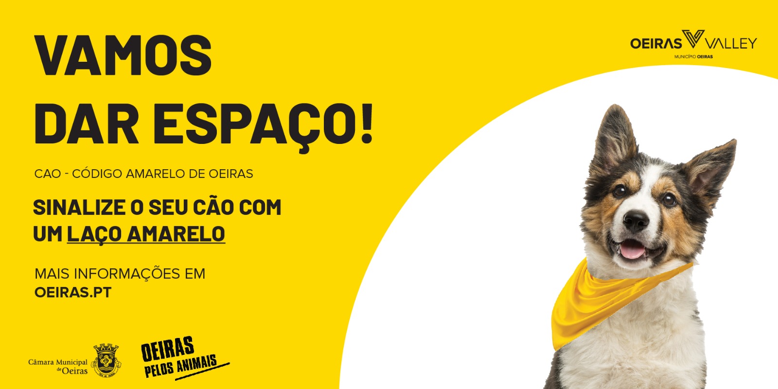 Banner do projeto com imagem de um cão em fundo amarelo e branco. 