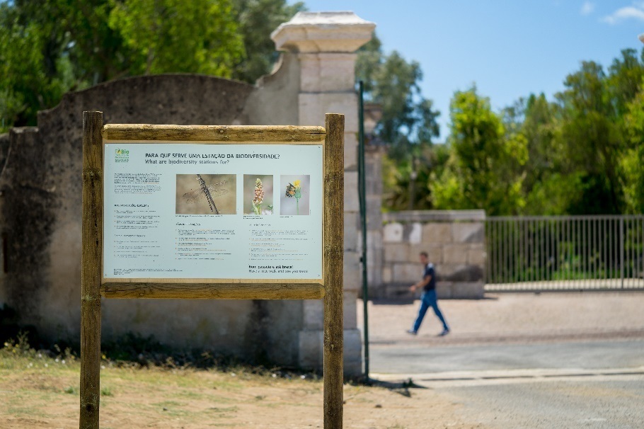 Estação da Biodiversidade da Quinta de Recreio do Marquês de Pombal
