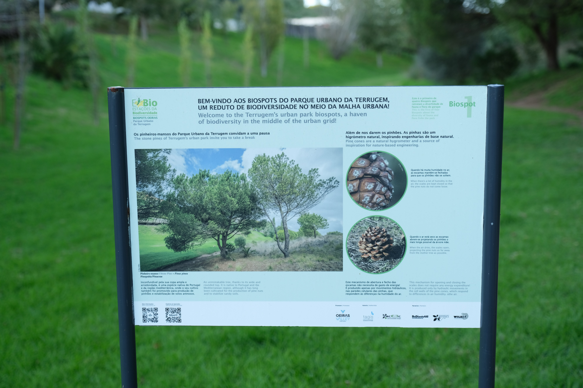 Biospots do Parque Urbano do Alto da Terrugem