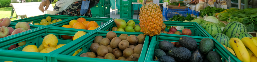 mercados biologicos