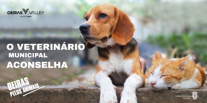 Imagem da noticia