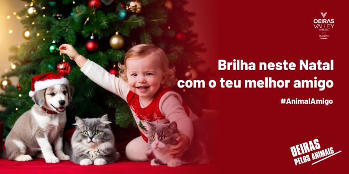 Imagem da noticia