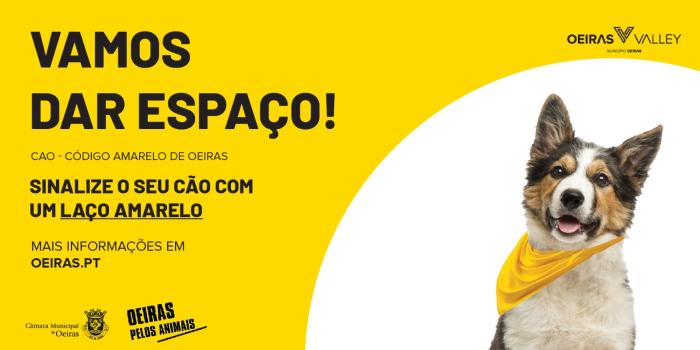 Imagem da noticia