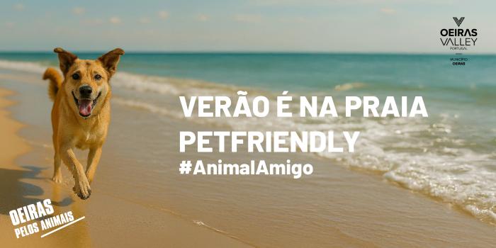 Imagem da noticia